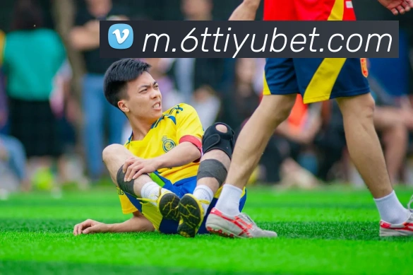 App Interface Preview