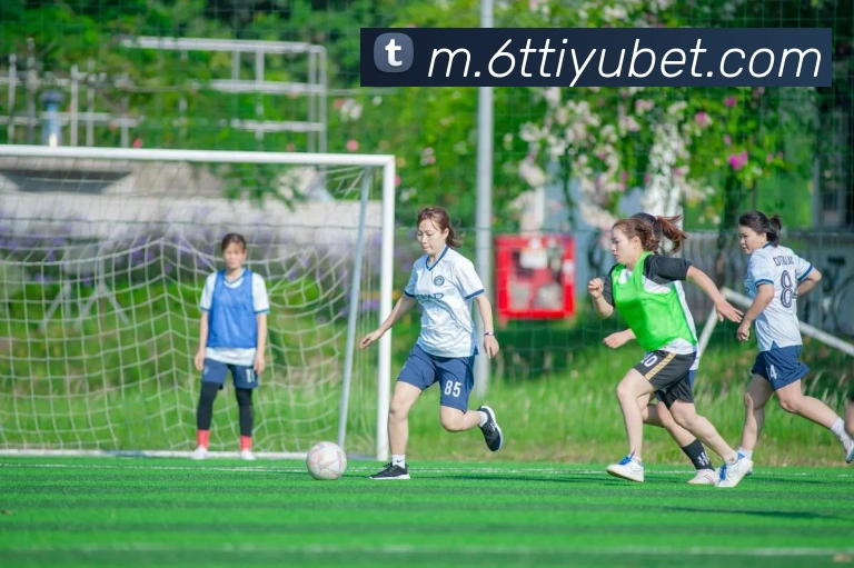 6T体育APP 封面图